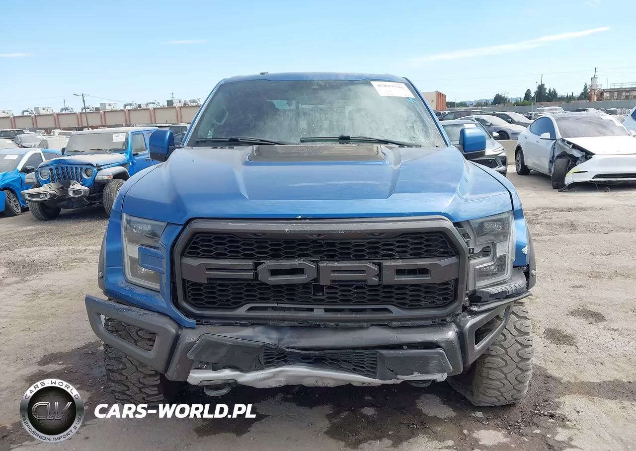 2019 Ford F150 Raptor VIN:1FTFW1RGXKFA63105 - 12