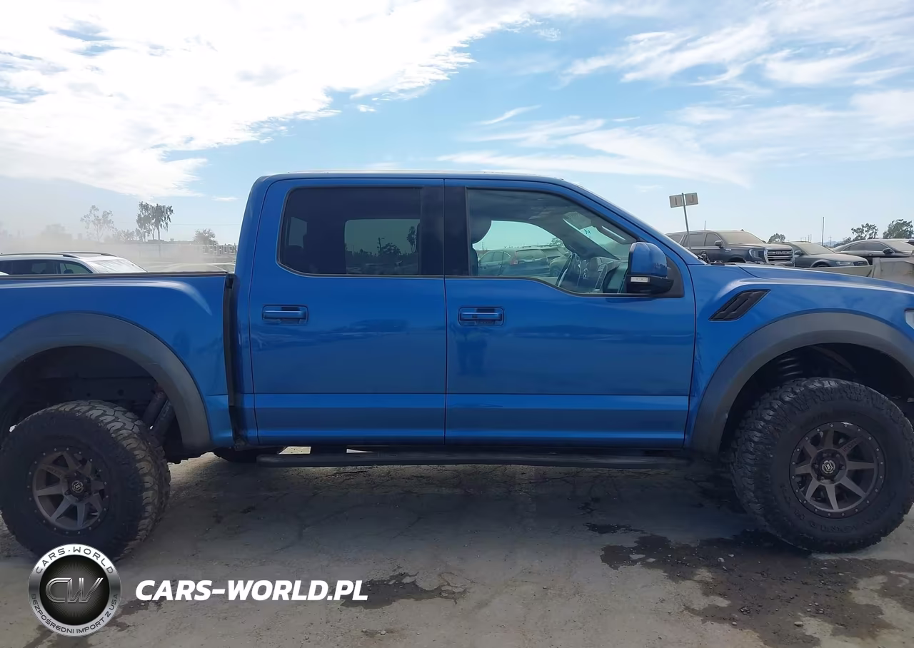 2019 Ford F150 Raptor VIN:1FTFW1RGXKFA63105 - 13