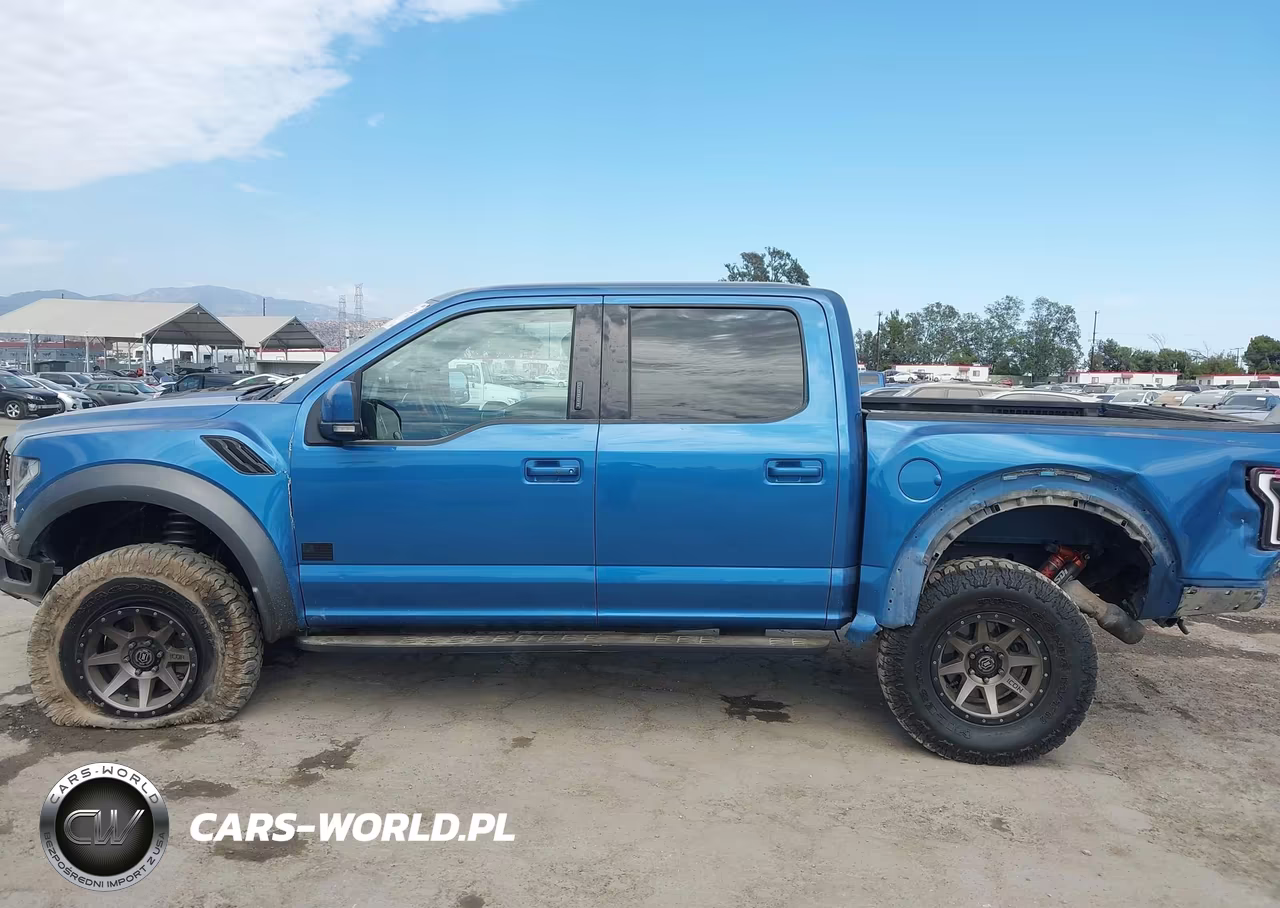 2019 Ford F150 Raptor VIN:1FTFW1RGXKFA63105 - 14