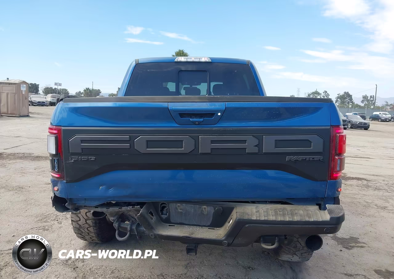 2019 Ford F150 Raptor VIN:1FTFW1RGXKFA63105 - 16