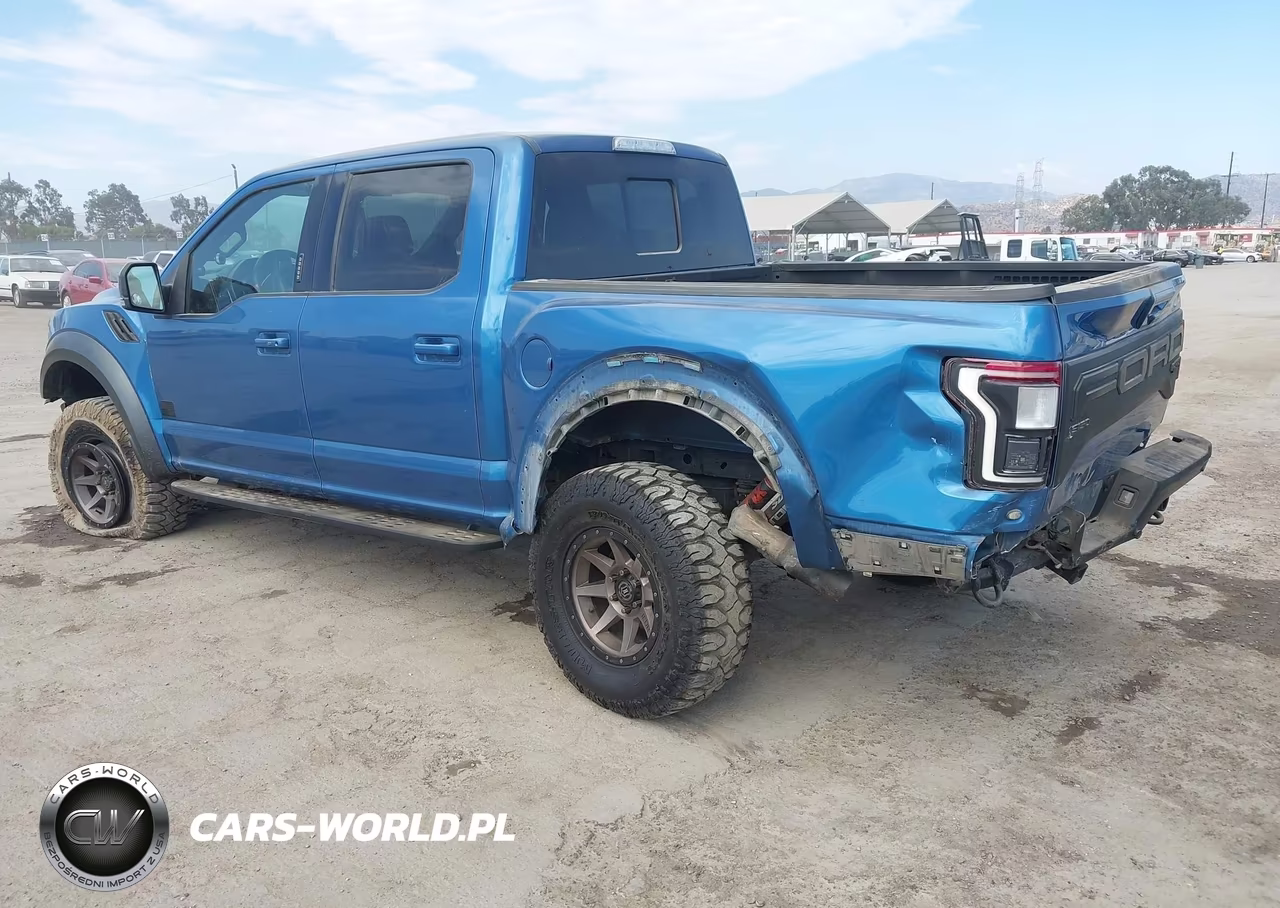 2019 Ford F150 Raptor VIN:1FTFW1RGXKFA63105 - 3
