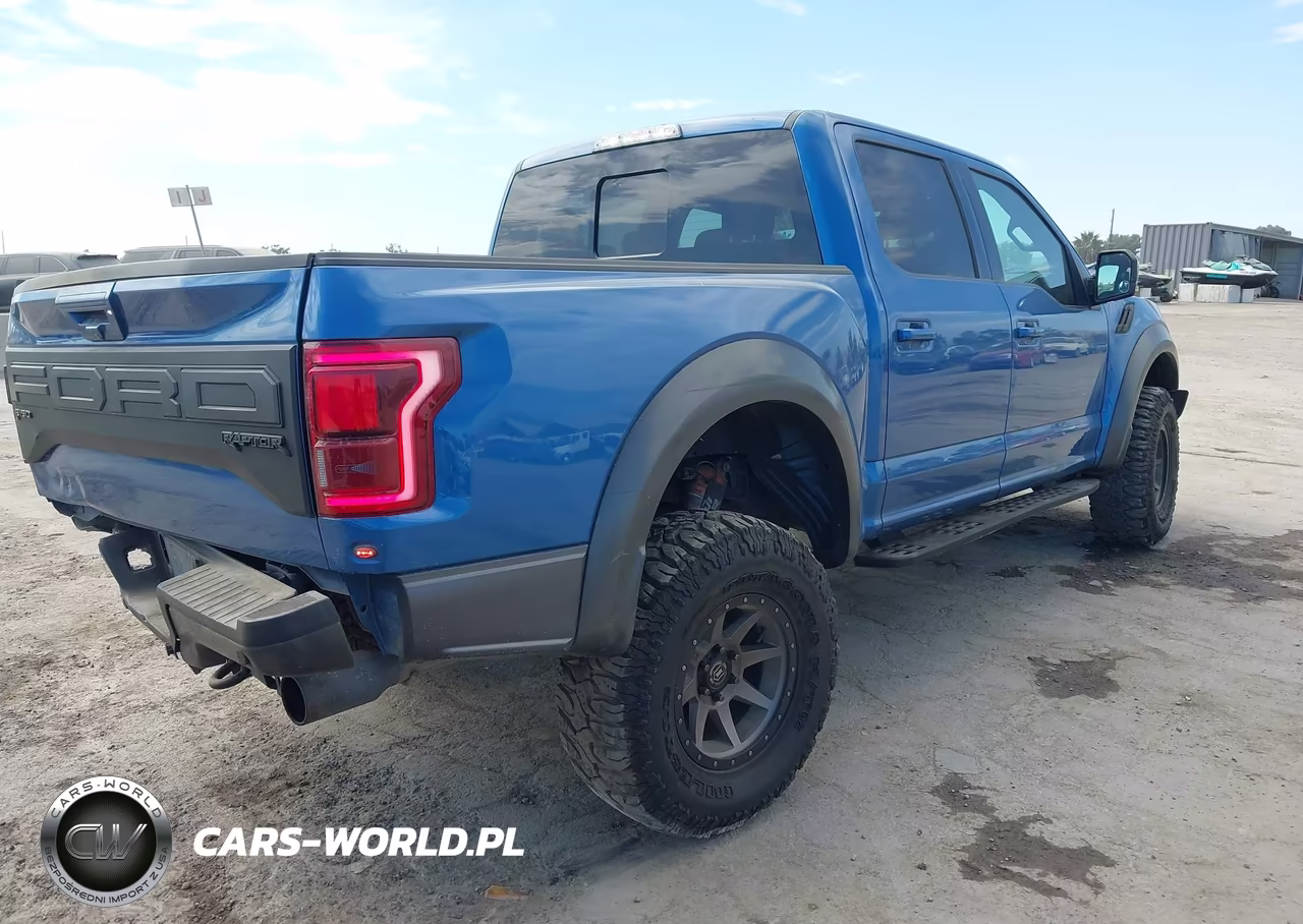 2019 Ford F150 Raptor VIN:1FTFW1RGXKFA63105 - 4