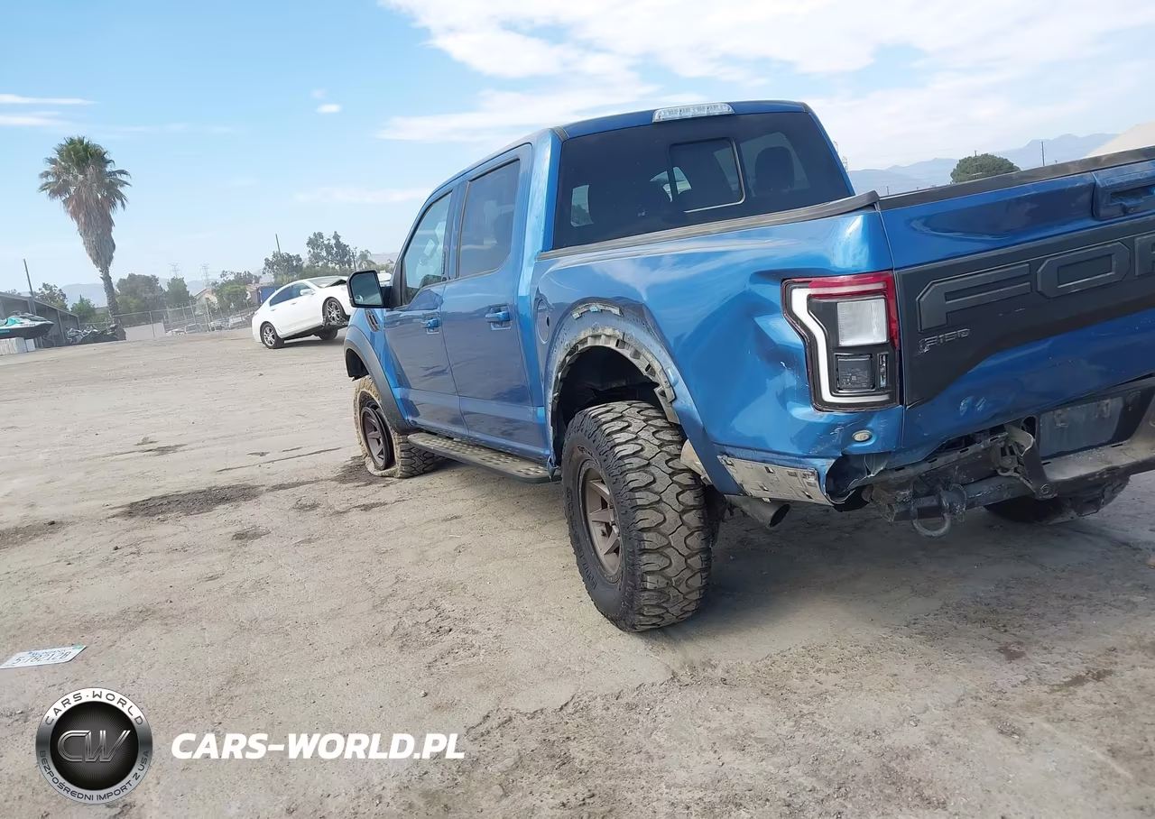 2019 Ford F150 Raptor VIN:1FTFW1RGXKFA63105 - 6
