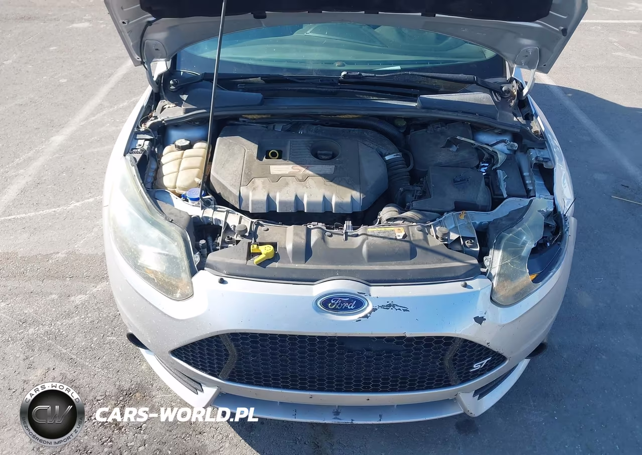 2013 Ford Focus St VIN:1FADP3L95DL313807 - 10