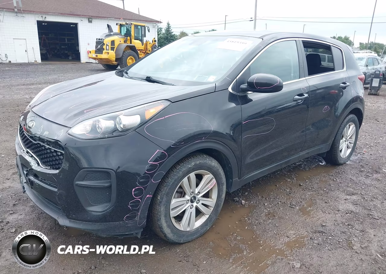 2018 Kia Sportage Lx VIN:KNDPM3AC3J7445208 - 2