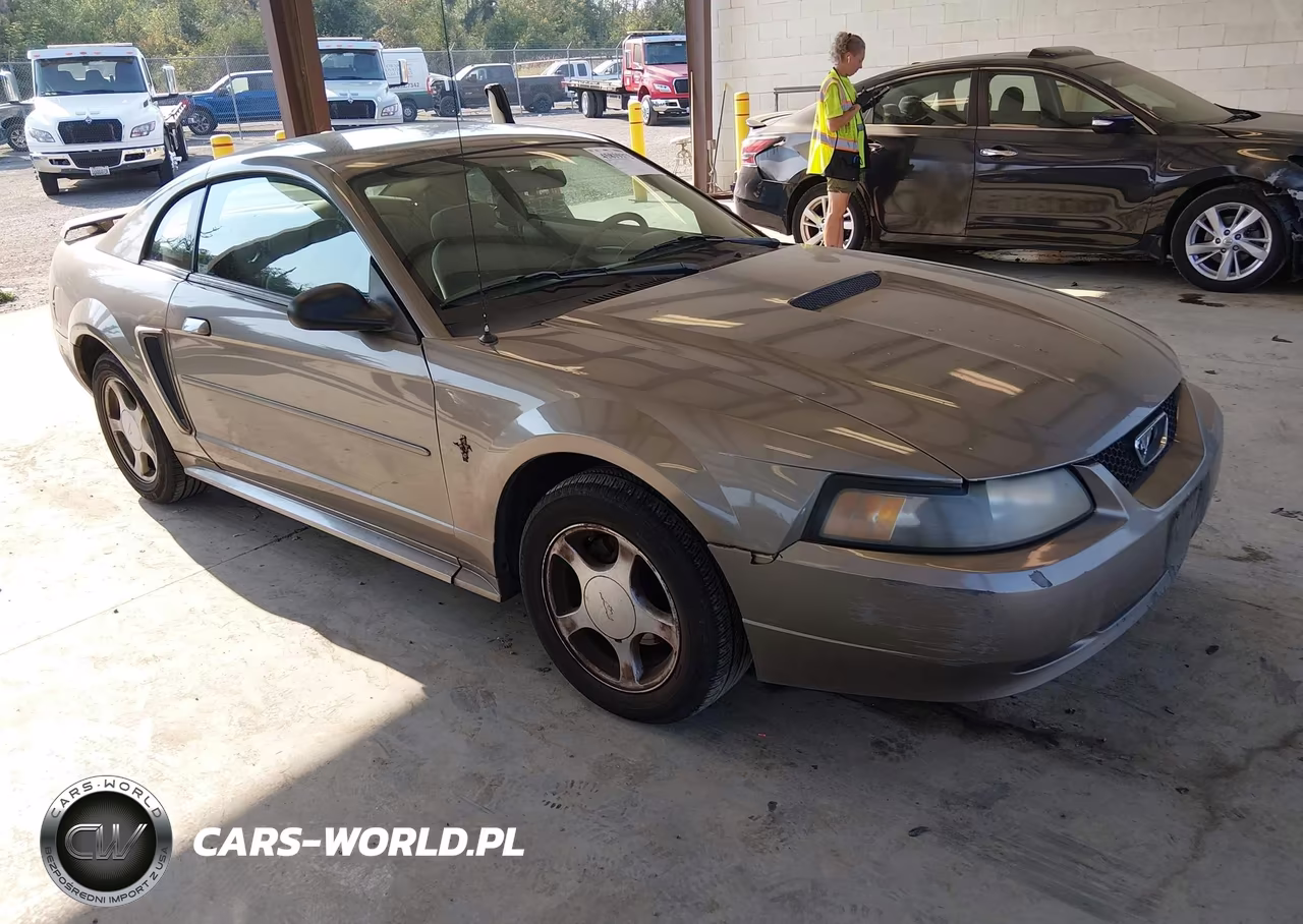 2002 Ford Mustang Deluxe-Premium-Standard