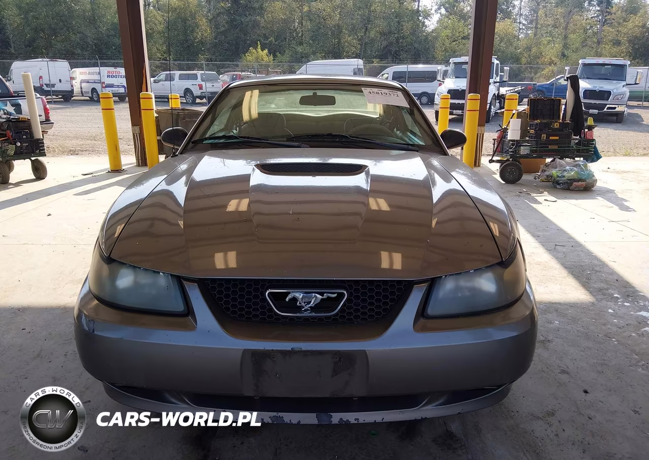 2002 Ford Mustang Deluxe-Premium-Standard VIN:1FAFP40472F171432 - 12
