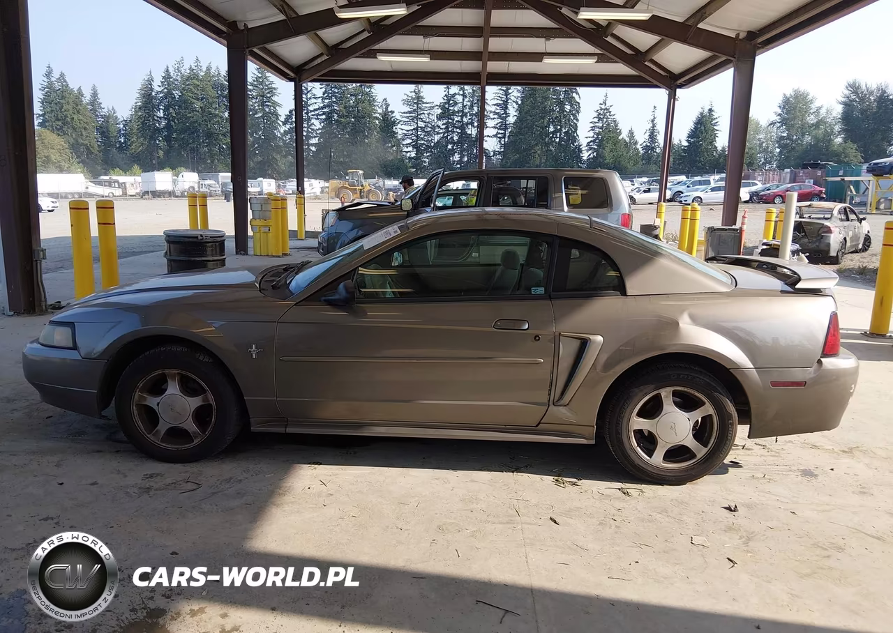 2002 Ford Mustang Deluxe-Premium-Standard VIN:1FAFP40472F171432 - 14