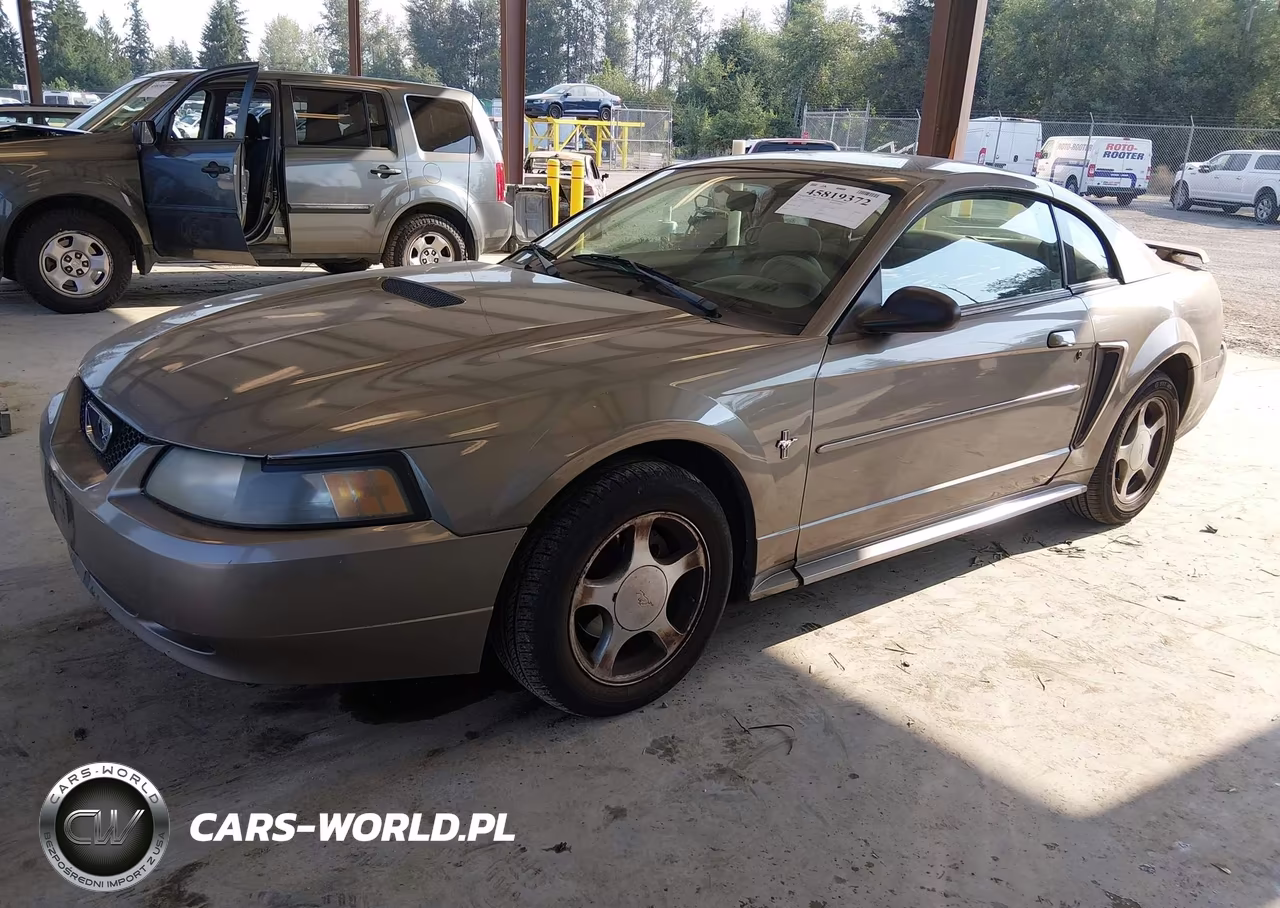 2002 Ford Mustang Deluxe-Premium-Standard VIN:1FAFP40472F171432 - 2