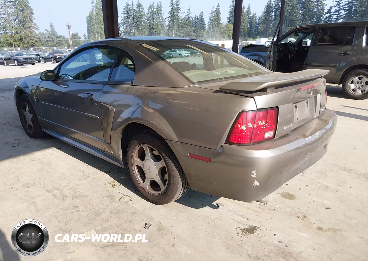 2002 Ford Mustang Deluxe-Premium-Standard VIN:1FAFP40472F171432 - 3