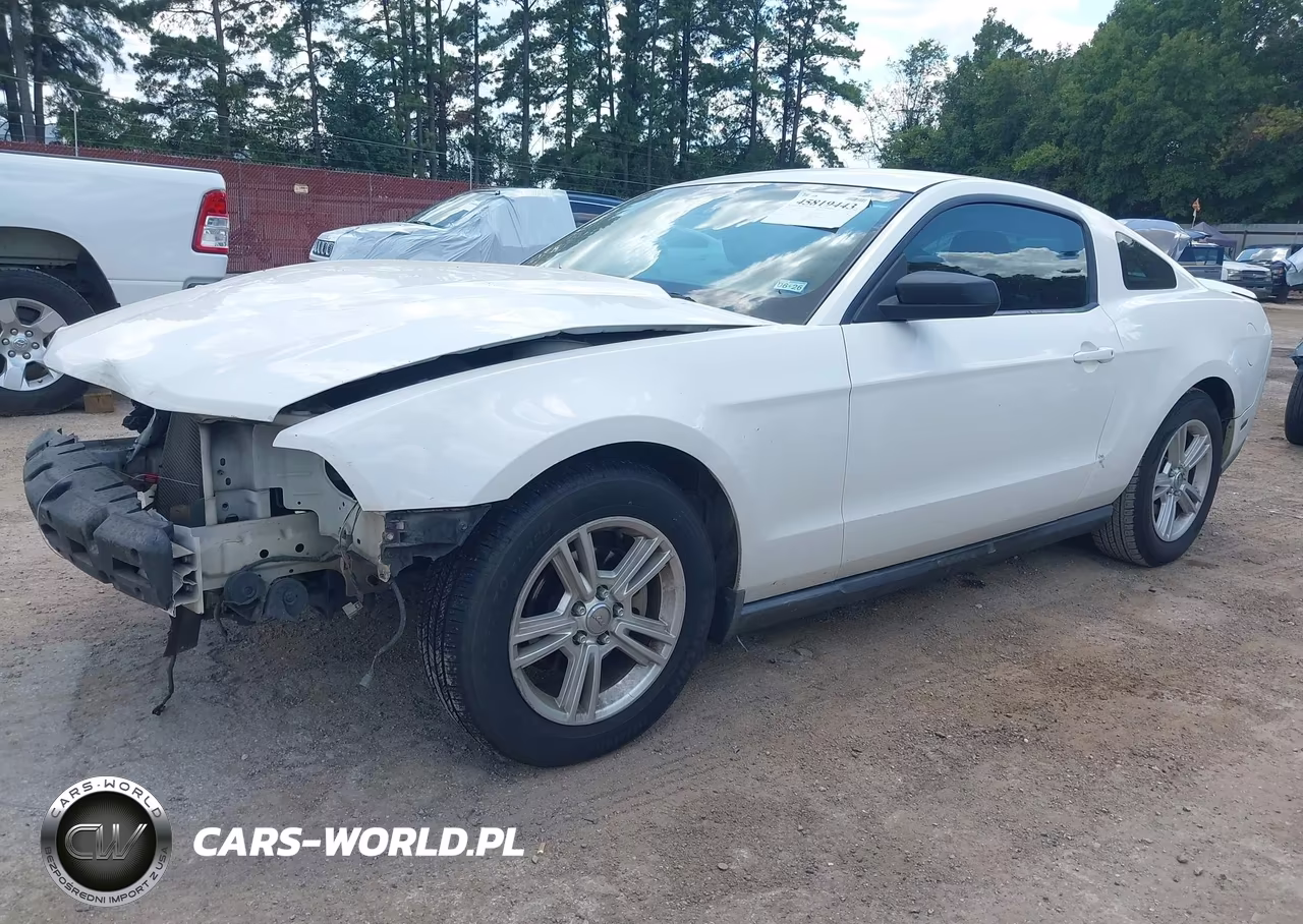 2010 Ford Mustang VIN:1ZVBP8AN4A5125887 - 2