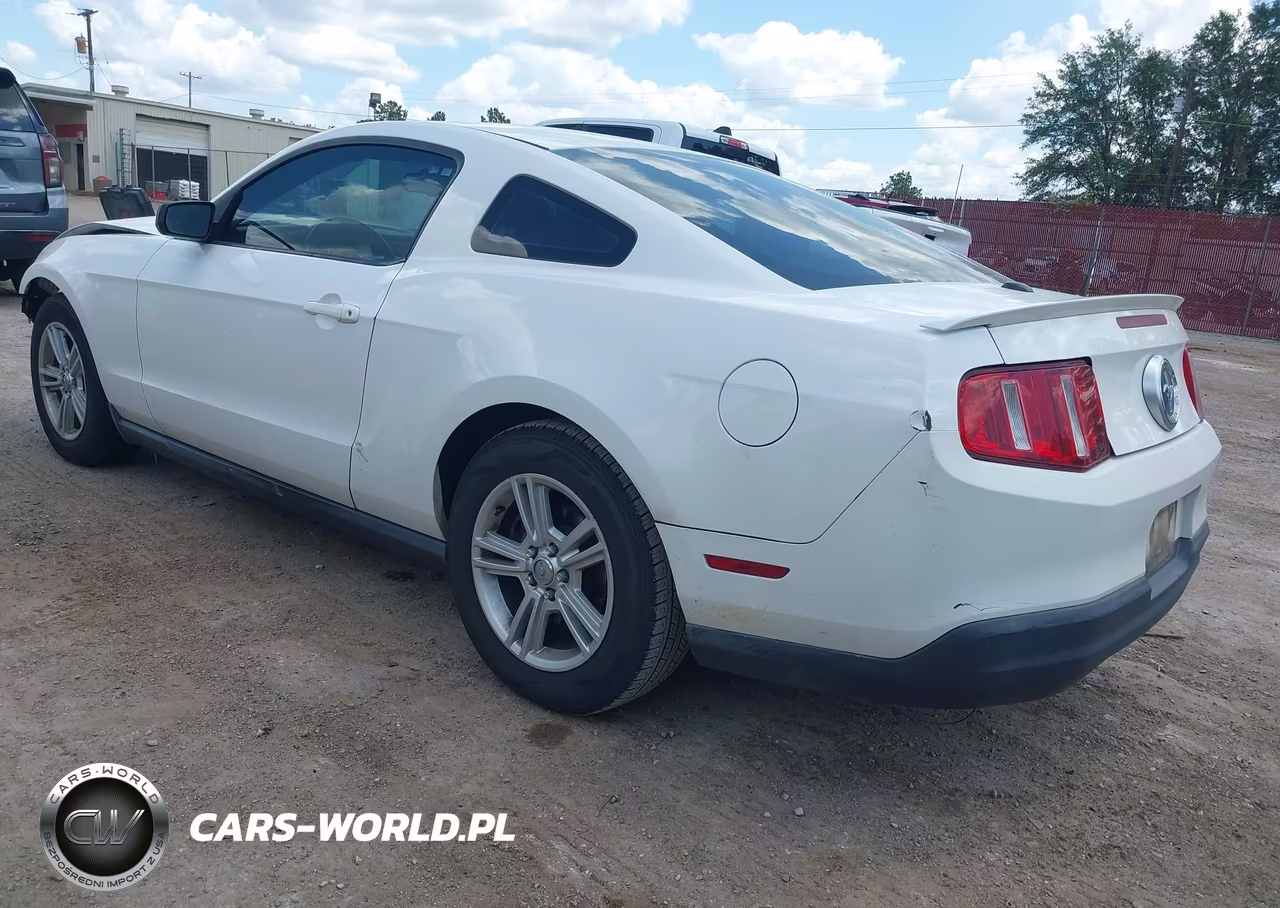 2010 Ford Mustang VIN:1ZVBP8AN4A5125887 - 3