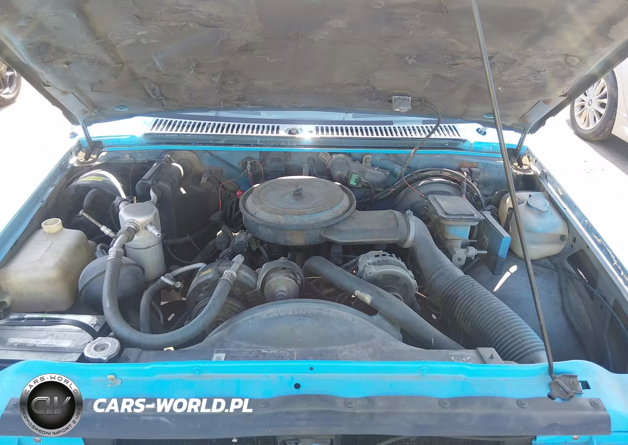 1991 Chevrolet S Truck S10 VIN:1GCCS19Z7M2262008 - 10
