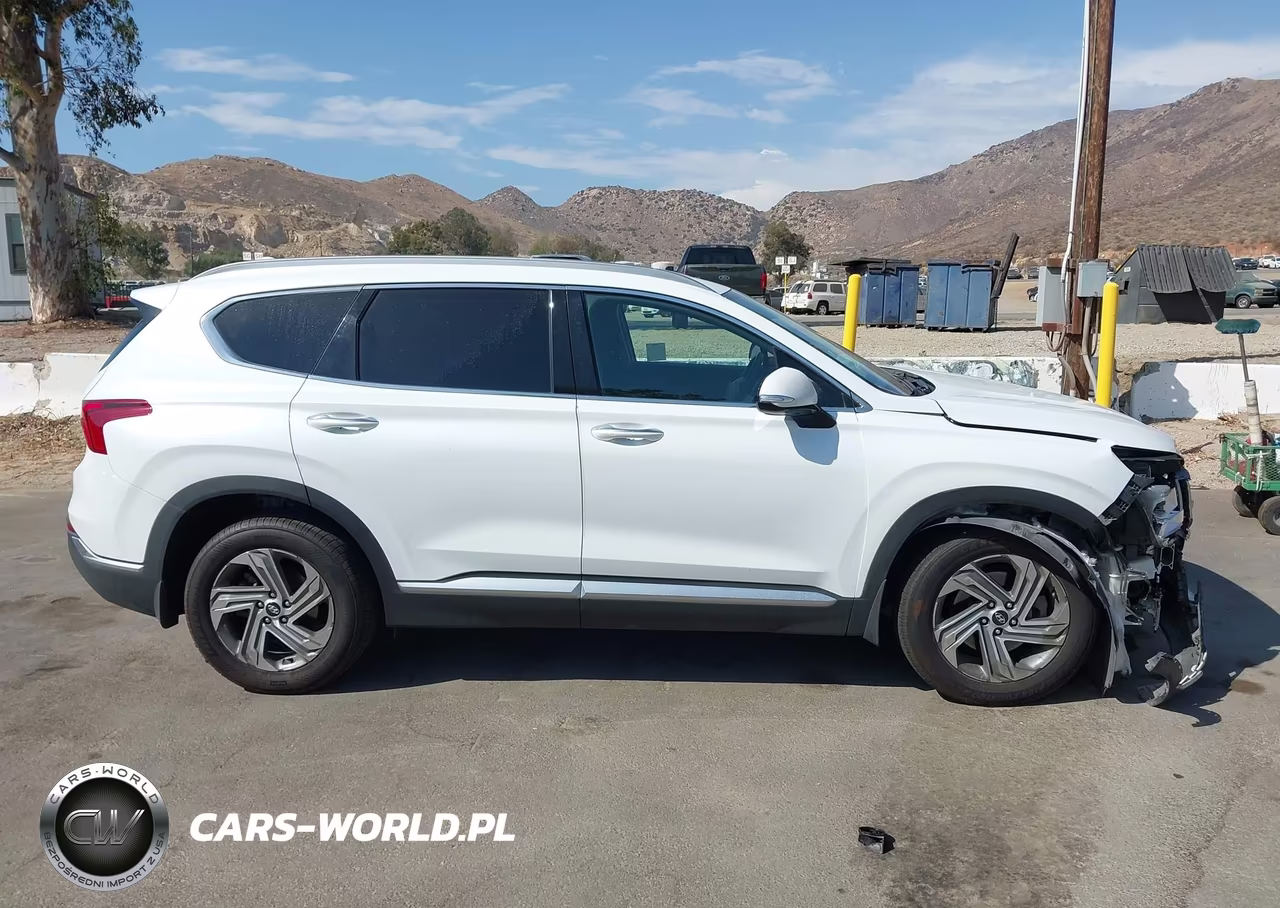 2021 Hyundai Santa Fe Sel VIN:5NMS64AJ1MH332105 - 13