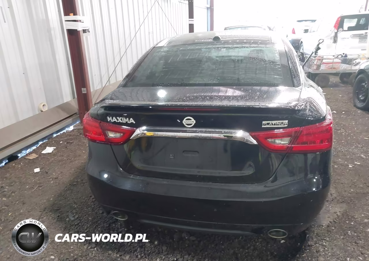 2016 Nissan Maxima 3.5 Platinum VIN:1N4AA6AP2GC382871 - 16