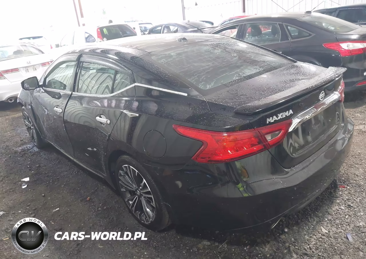 2016 Nissan Maxima 3.5 Platinum VIN:1N4AA6AP2GC382871 - 3