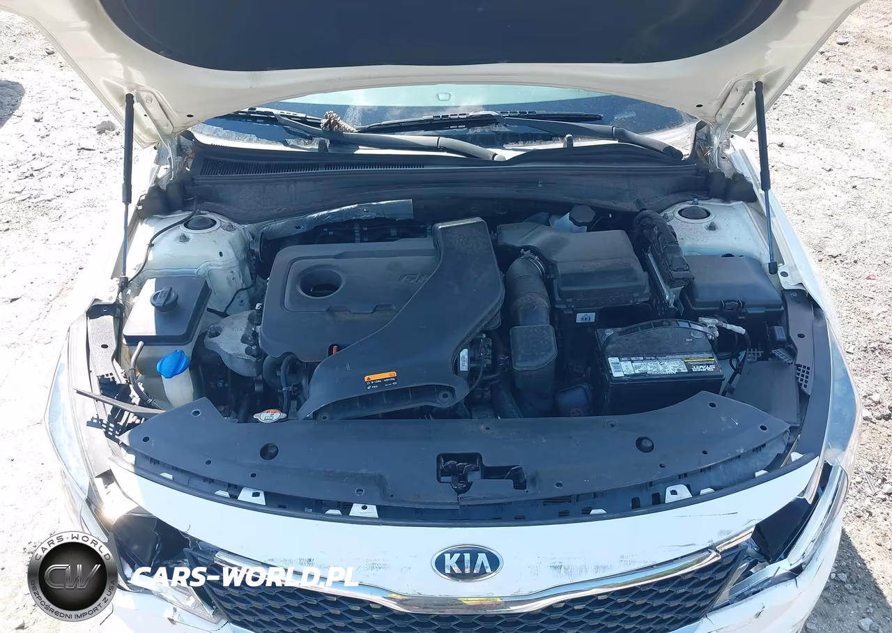 2016 Kia Optima Lx VIN:KNAGT4L39G5099608 - 10