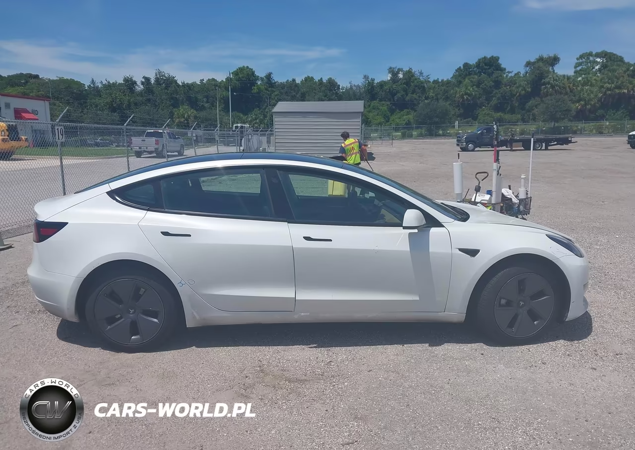 2023 Tesla Model 3 Rear-Wheel Drive VIN:5YJ3E1EA1PF451150 - 12