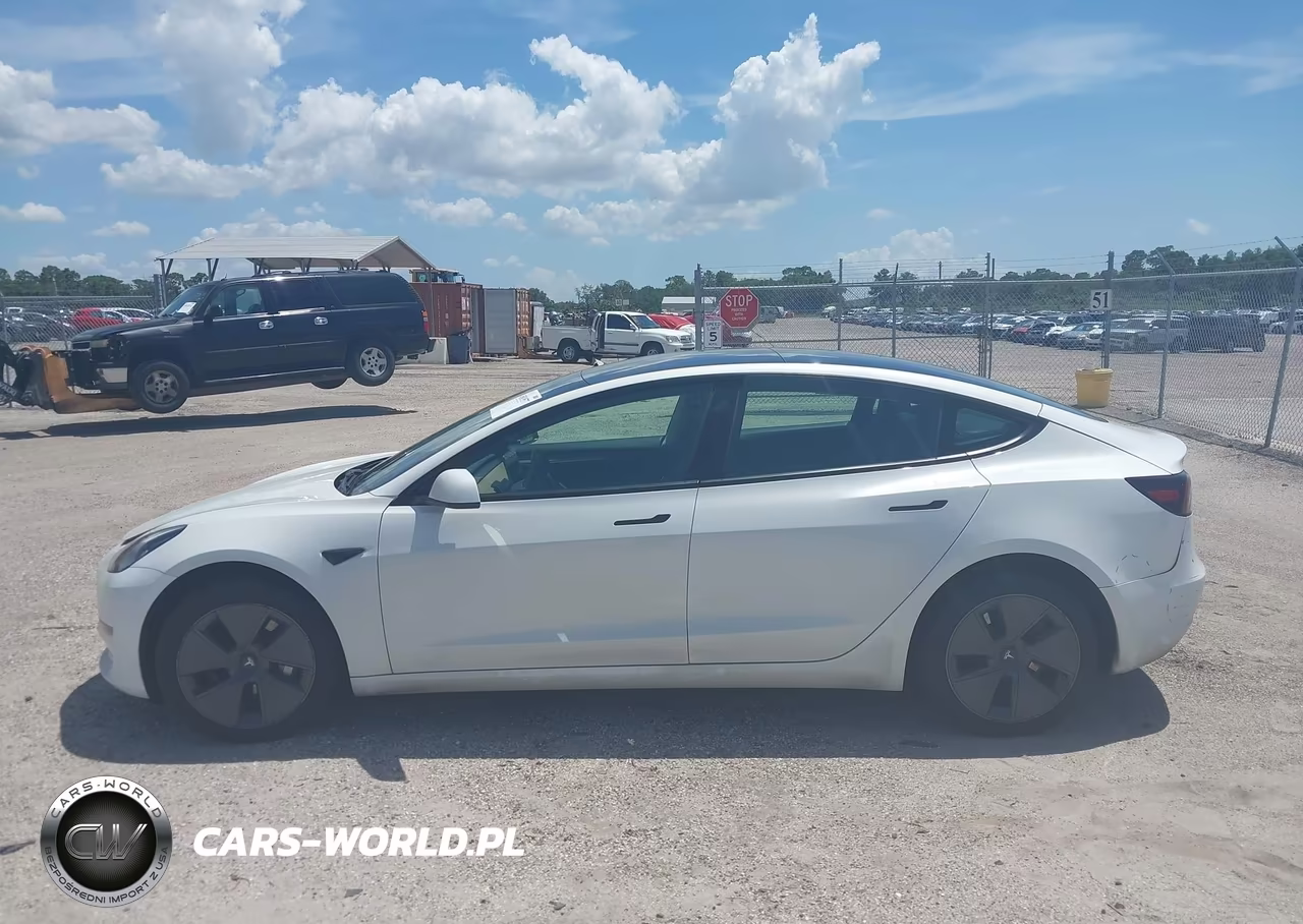 2023 Tesla Model 3 Rear-Wheel Drive VIN:5YJ3E1EA1PF451150 - 13