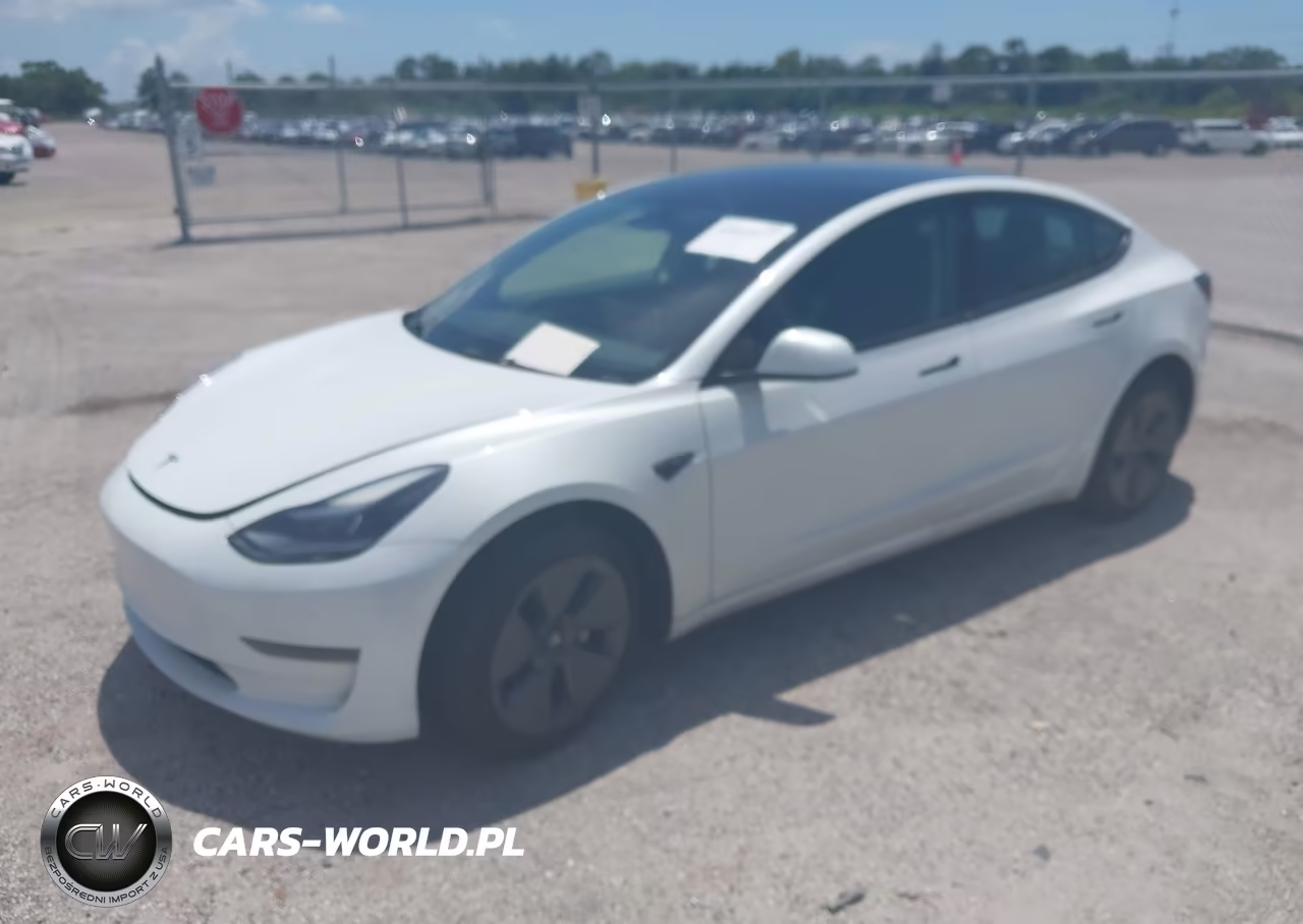 2023 Tesla Model 3 Rear-Wheel Drive VIN:5YJ3E1EA1PF451150 - 2