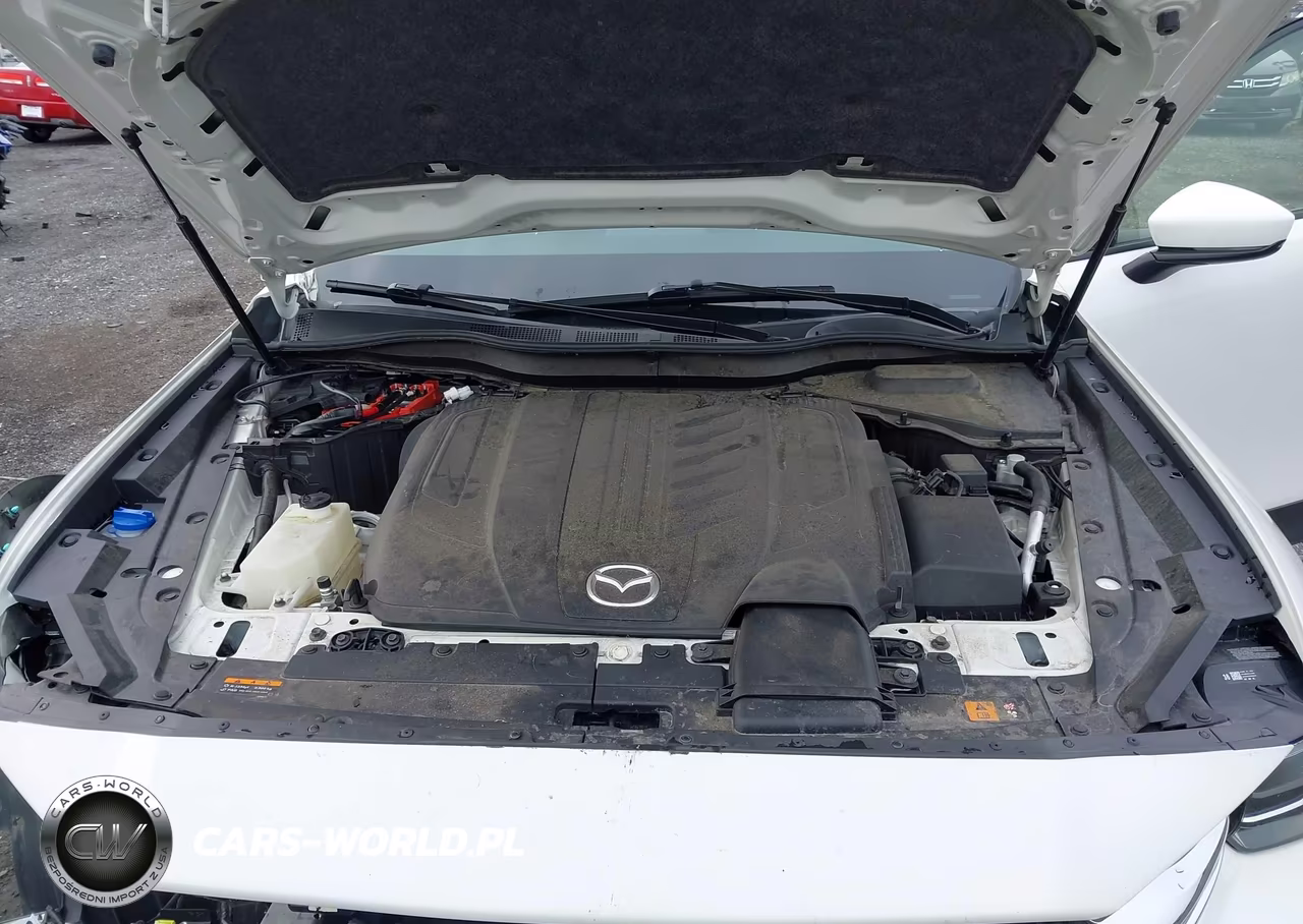 2024 Mazda Cx-90 3.3 Turbo Preferred VIN:JM3KKBHD2R1114392 - 10