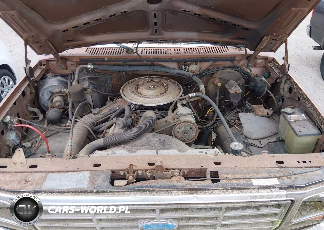 1985 Ford F150 VIN:1FTEX14H6FKA69876 - 10