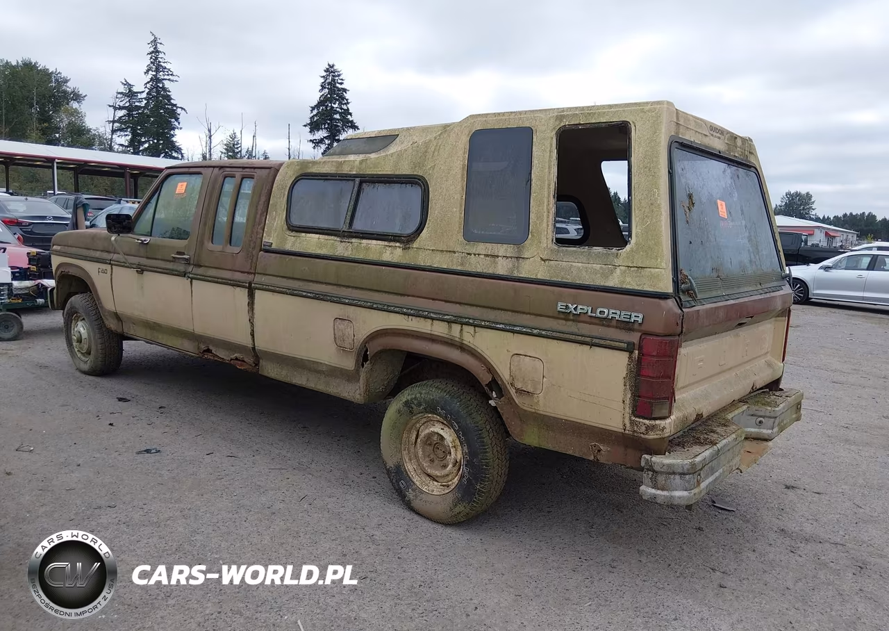 1985 Ford F150 VIN:1FTEX14H6FKA69876 - 3