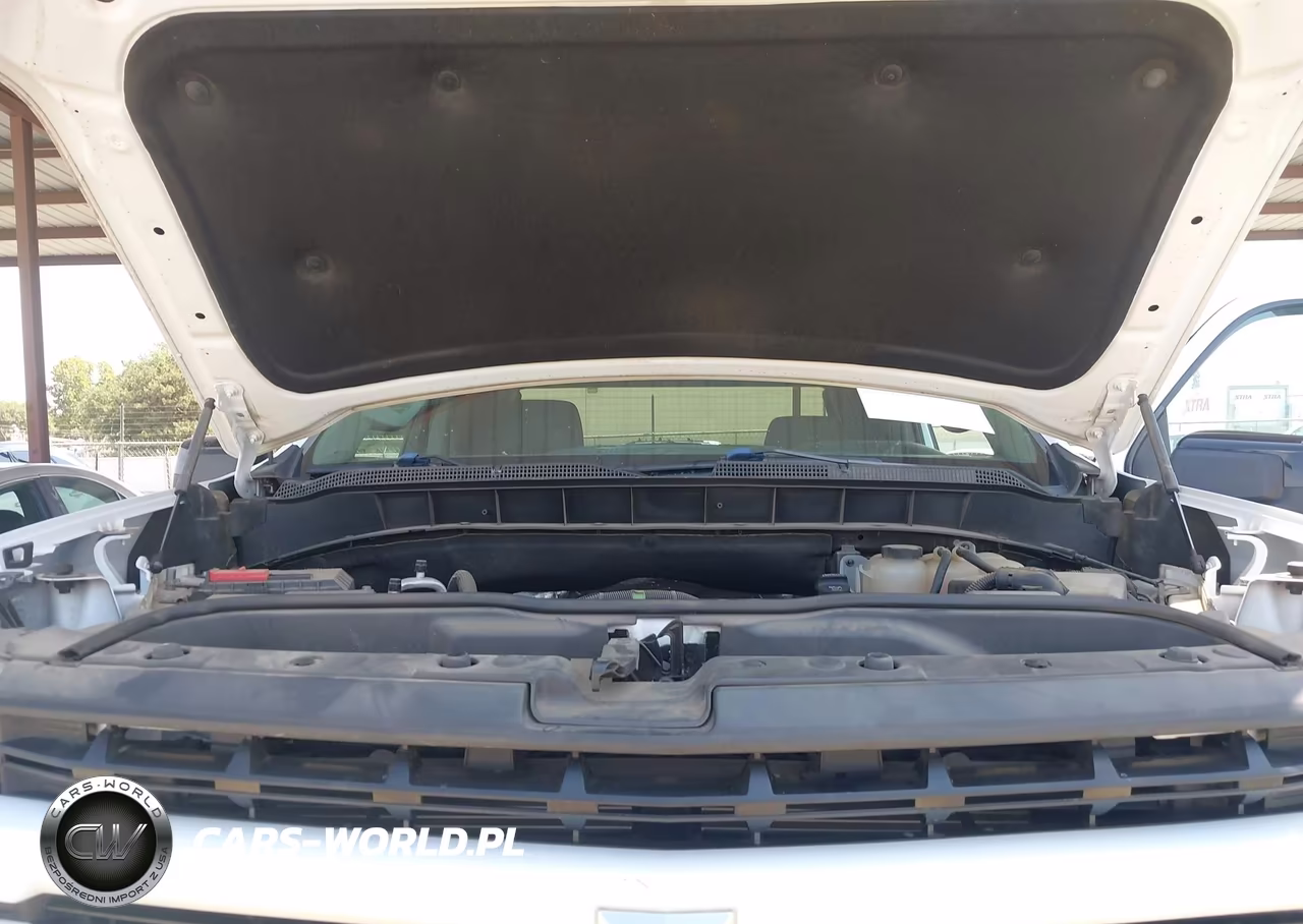 2019 Chevrolet Silverado 1500 Rst VIN:1GCRYEEDXKZ193975 - 10