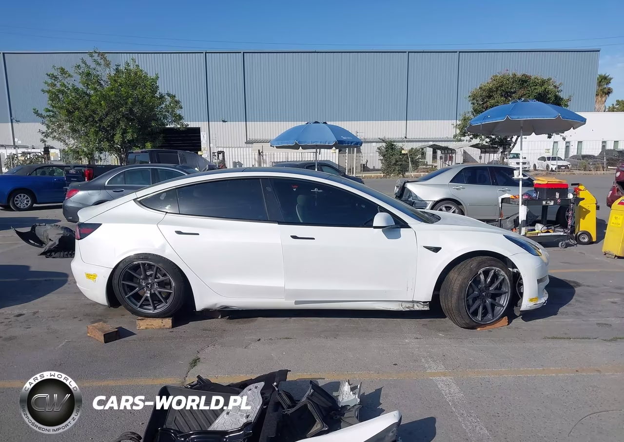 2022 Tesla Model 3 Rear-Wheel Drive VIN:5YJ3E1EAXNF147974 - 14