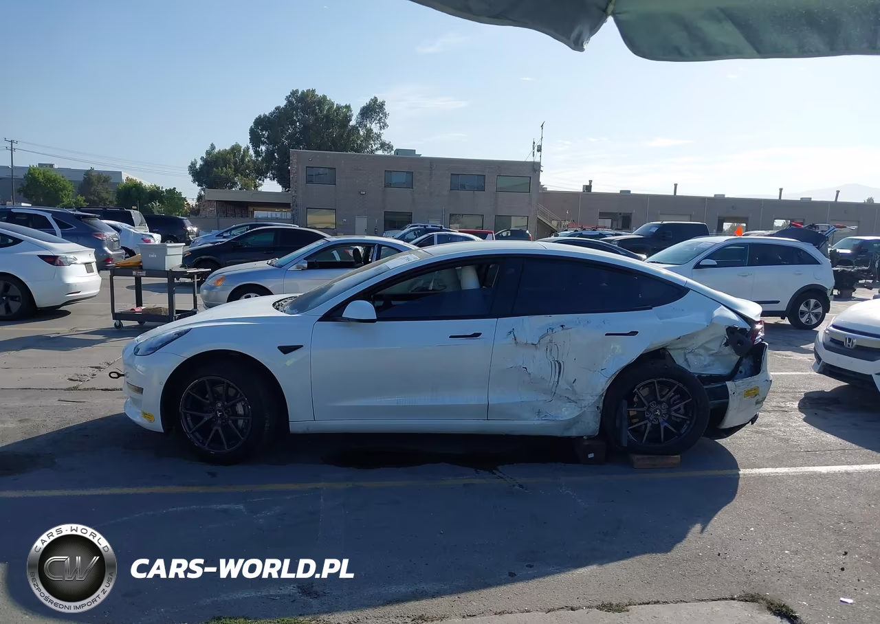 2022 Tesla Model 3 Rear-Wheel Drive VIN:5YJ3E1EAXNF147974 - 15
