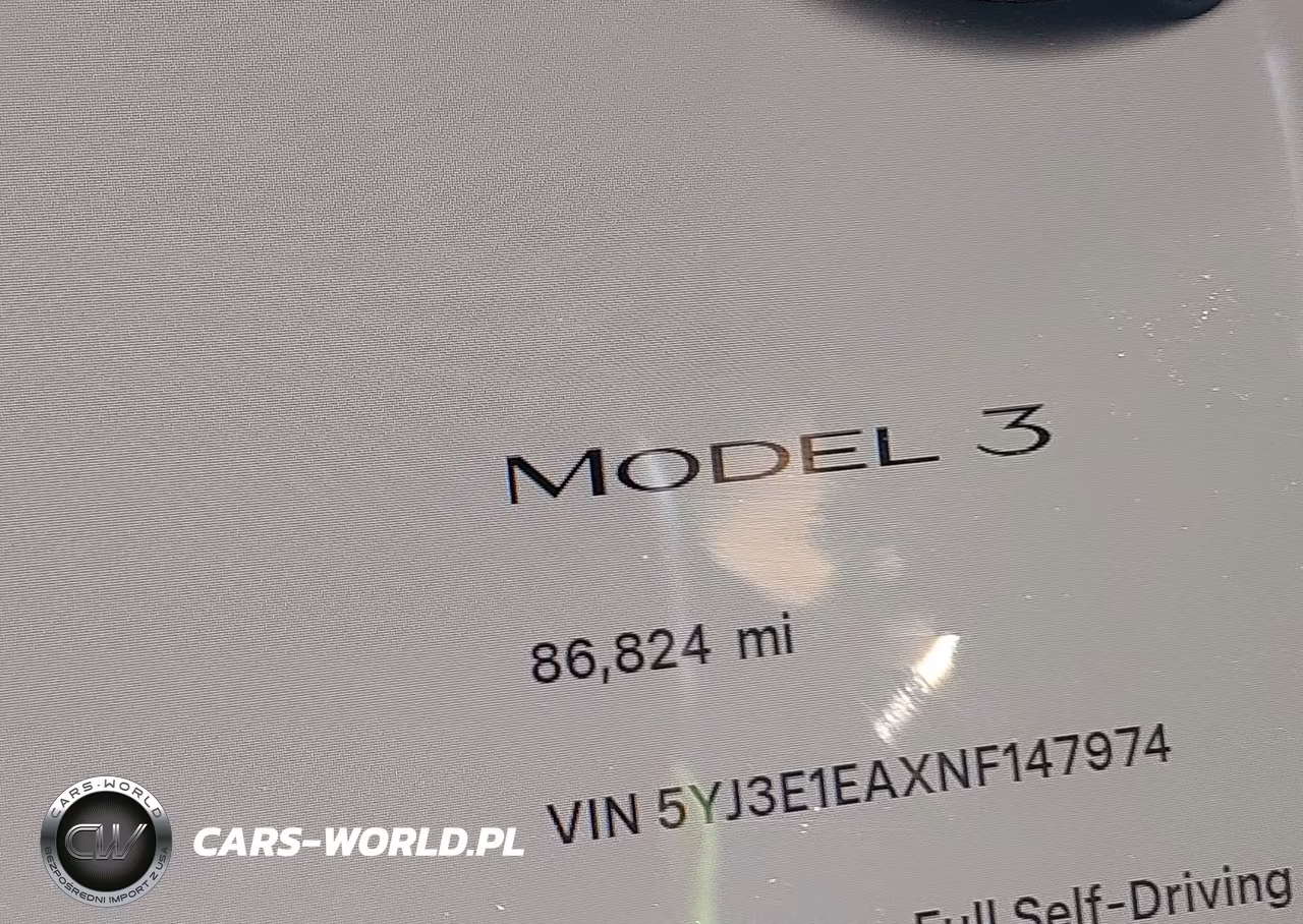 2022 Tesla Model 3 Rear-Wheel Drive VIN:5YJ3E1EAXNF147974 - 16