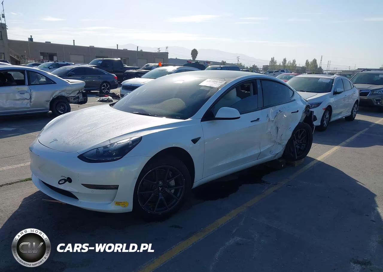 2022 Tesla Model 3 Rear-Wheel Drive VIN:5YJ3E1EAXNF147974 - 2
