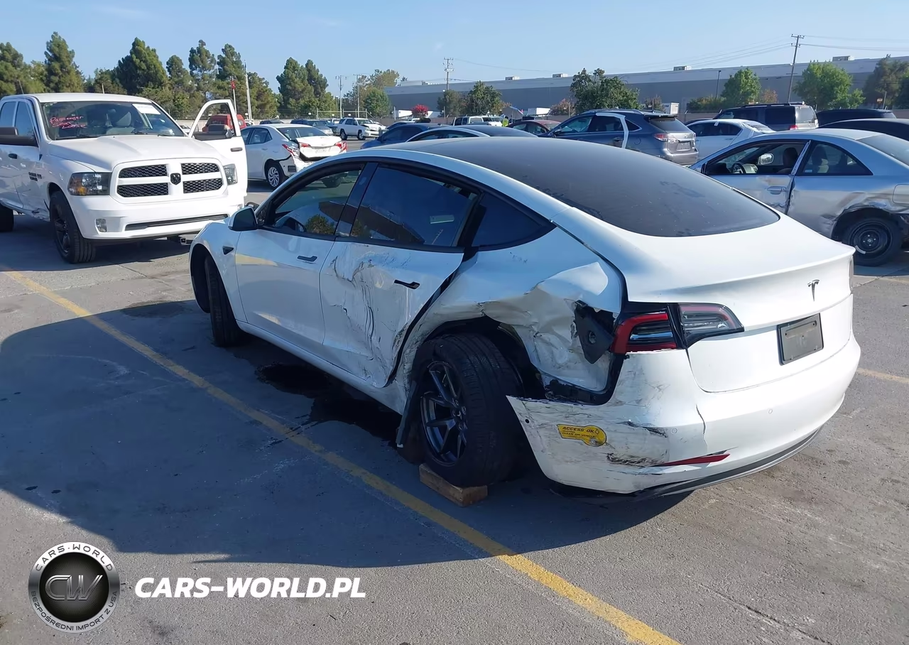 2022 Tesla Model 3 Rear-Wheel Drive VIN:5YJ3E1EAXNF147974 - 3
