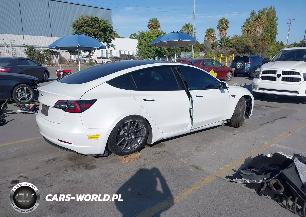 2022 Tesla Model 3 Rear-Wheel Drive VIN:5YJ3E1EAXNF147974 - 4