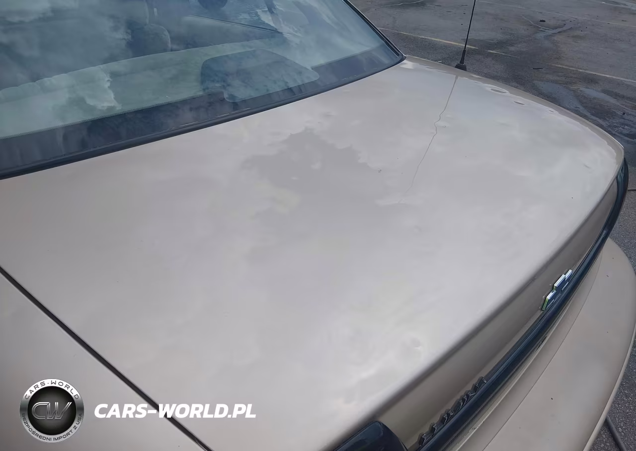 1998 Chevrolet Lumina VIN:2G1WL52MXW9275624 - 6