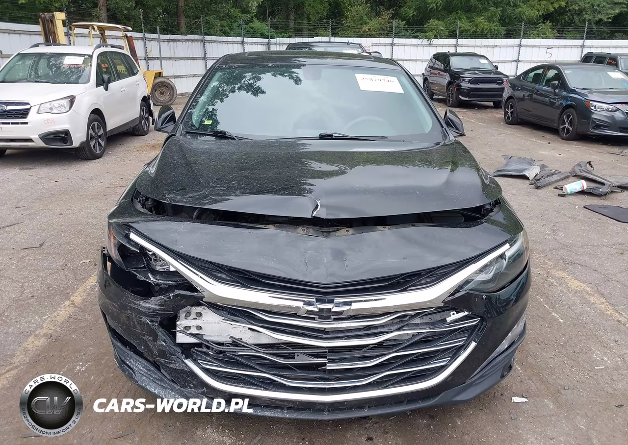 2019 Chevrolet Malibu Lt VIN:1G1ZD5ST7KF126915 - 12