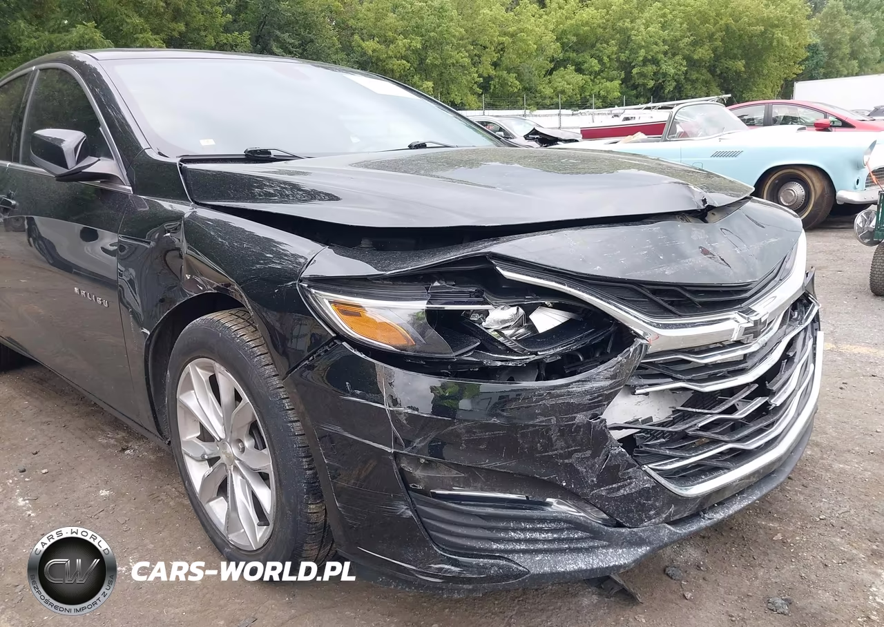 2019 Chevrolet Malibu Lt VIN:1G1ZD5ST7KF126915 - 6