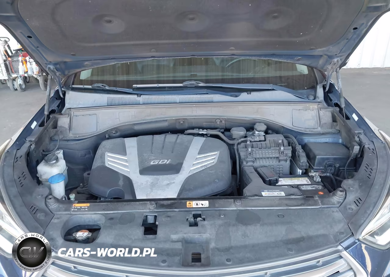2017 Hyundai Santa Fe Limited Ultimate VIN:KM8SR4HF8HU195425 - 10