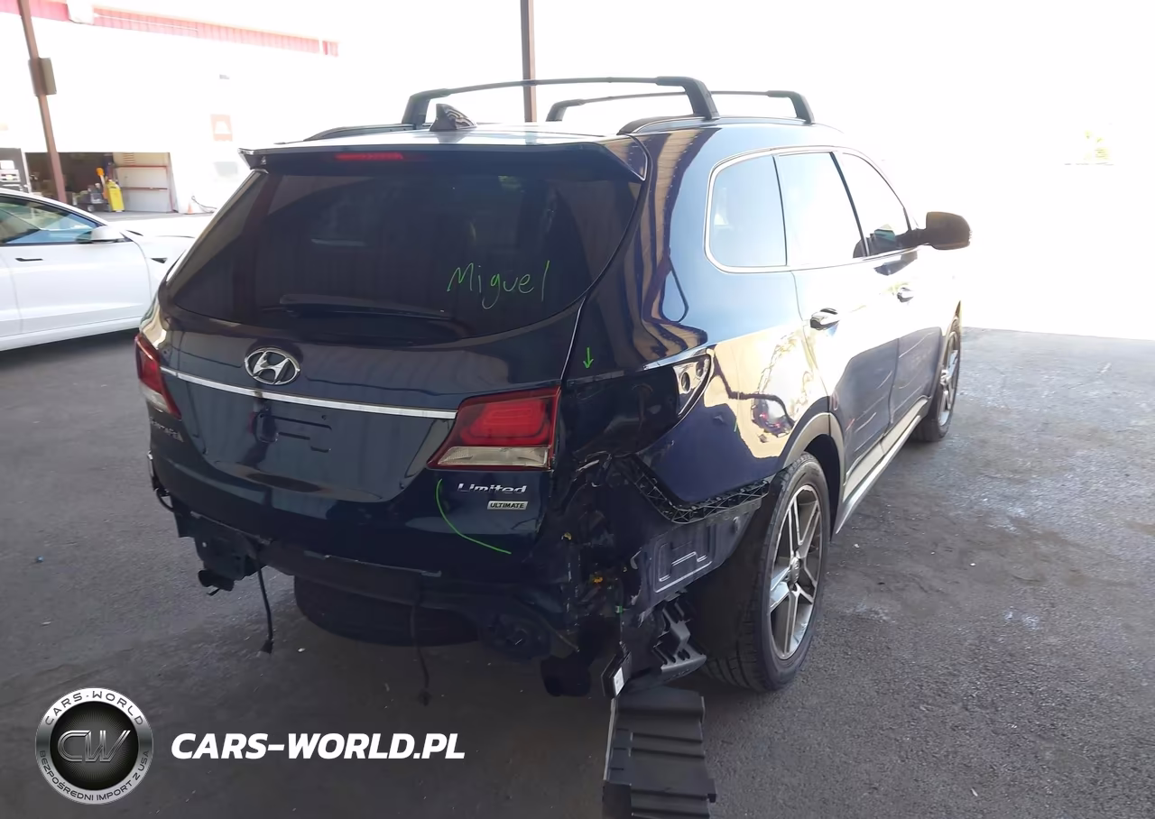 2017 Hyundai Santa Fe Limited Ultimate VIN:KM8SR4HF8HU195425 - 4