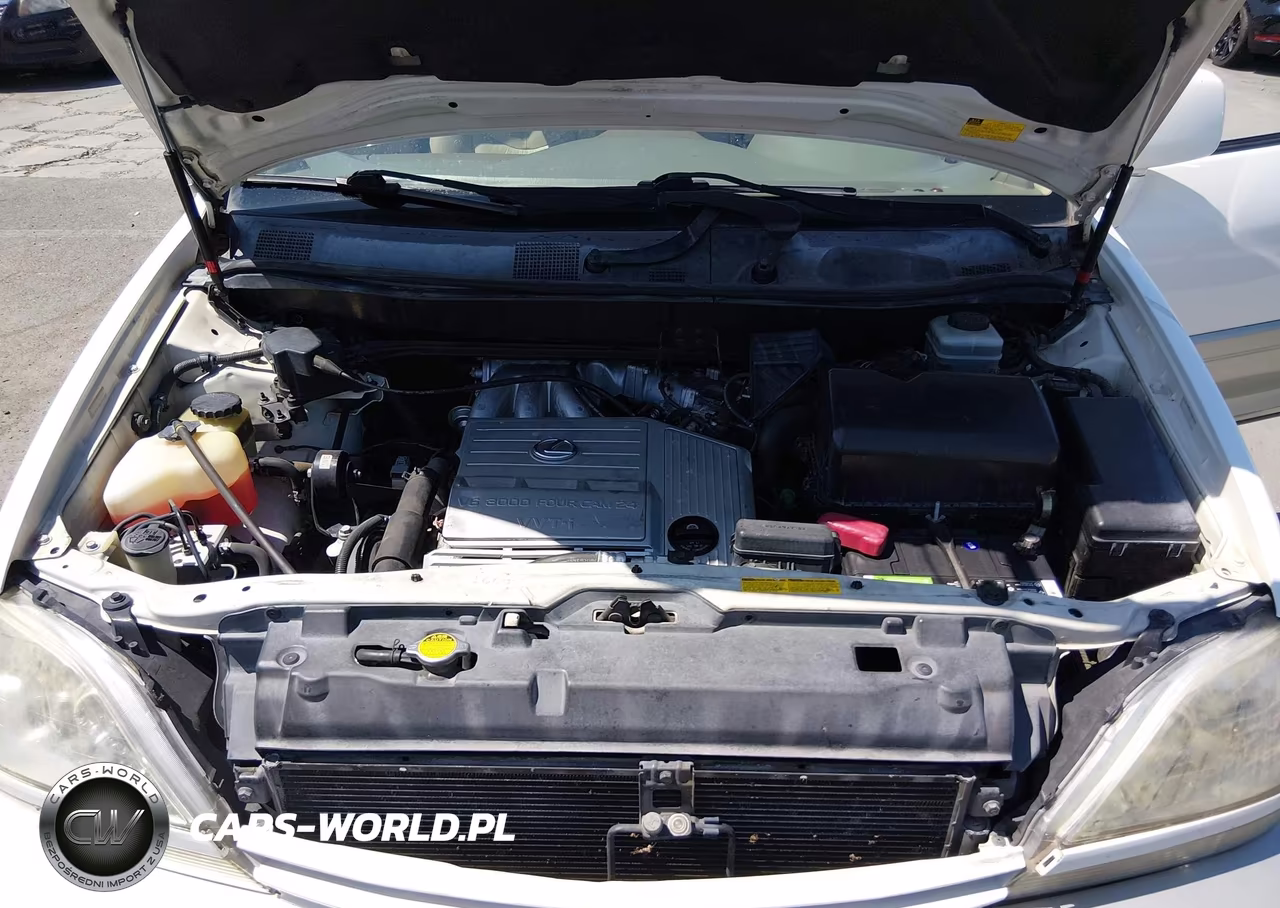 2001 Lexus Rx 300 VIN:JTJGF10U410086305 - 10