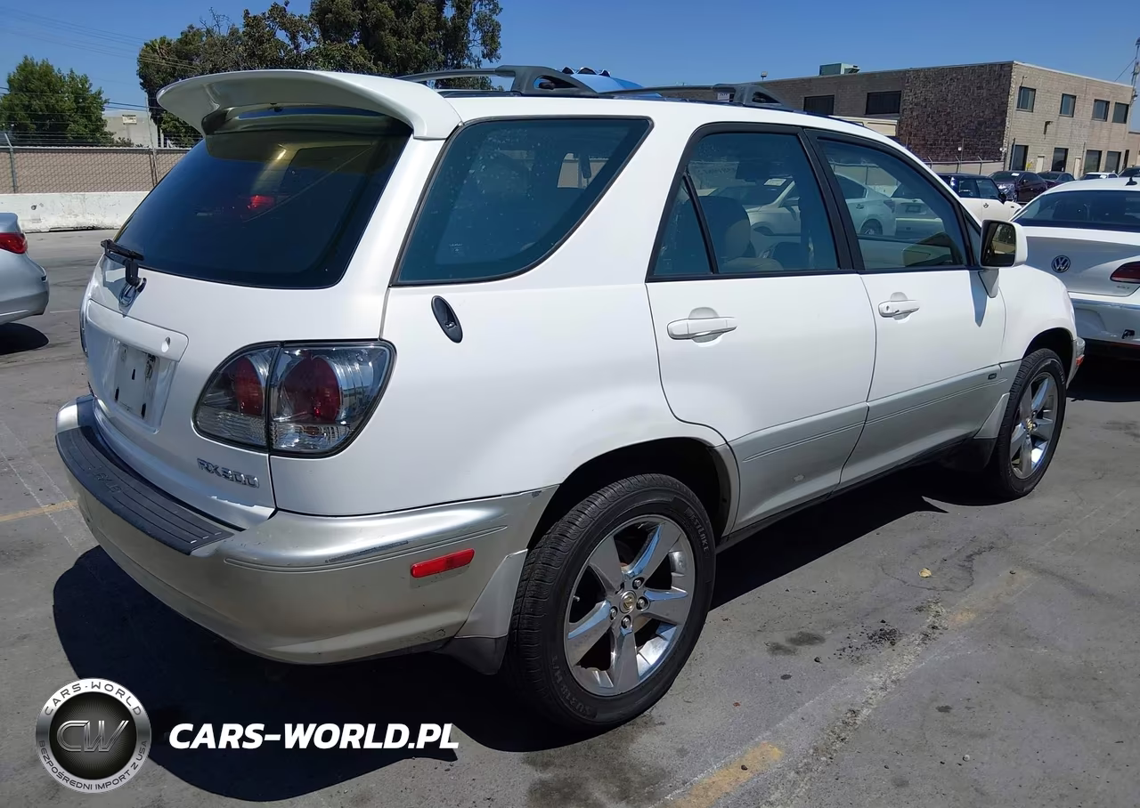 2001 Lexus Rx 300 VIN:JTJGF10U410086305 - 4