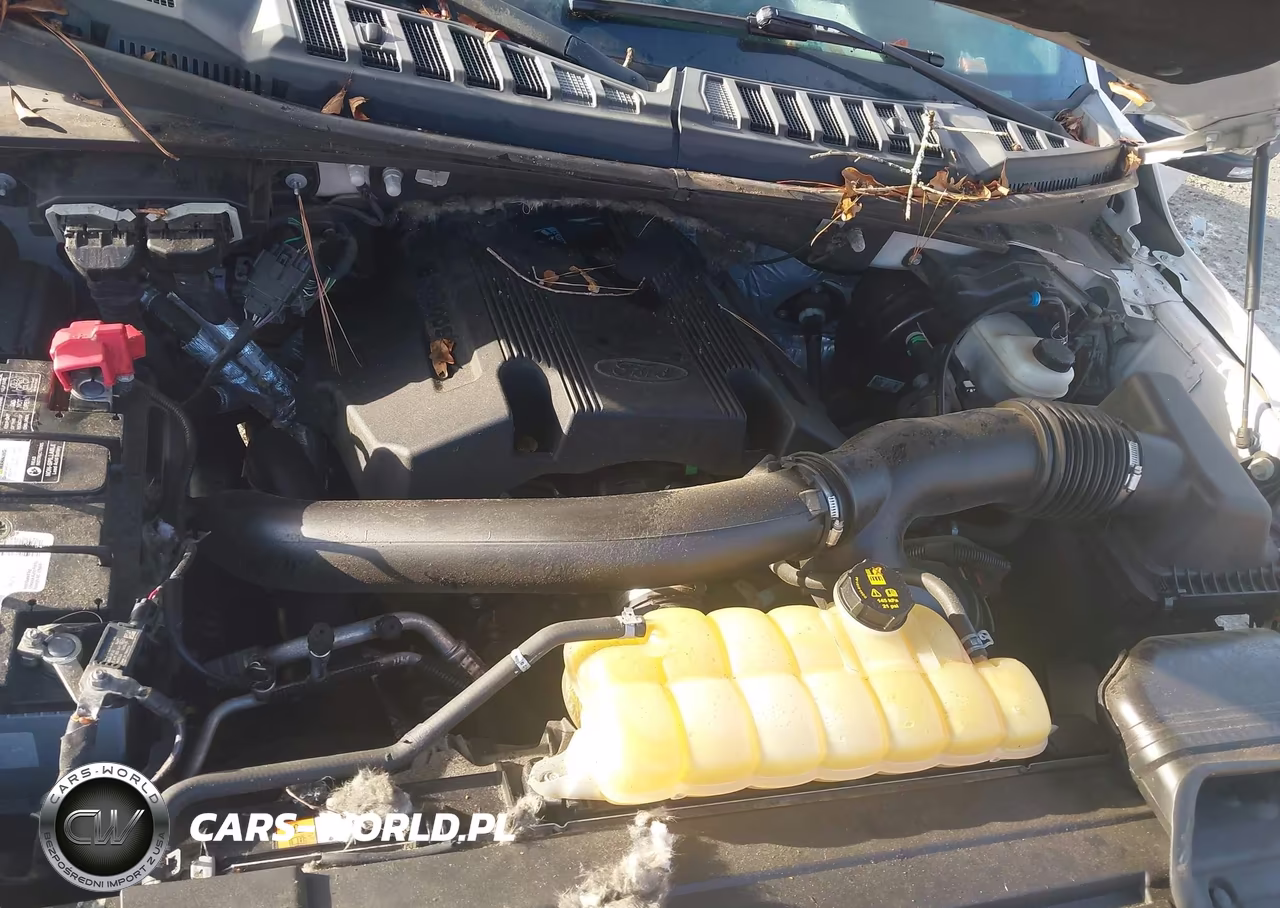 2019 Ford F-150 Platinum VIN:1FTEW1E41KFA84903 - 10