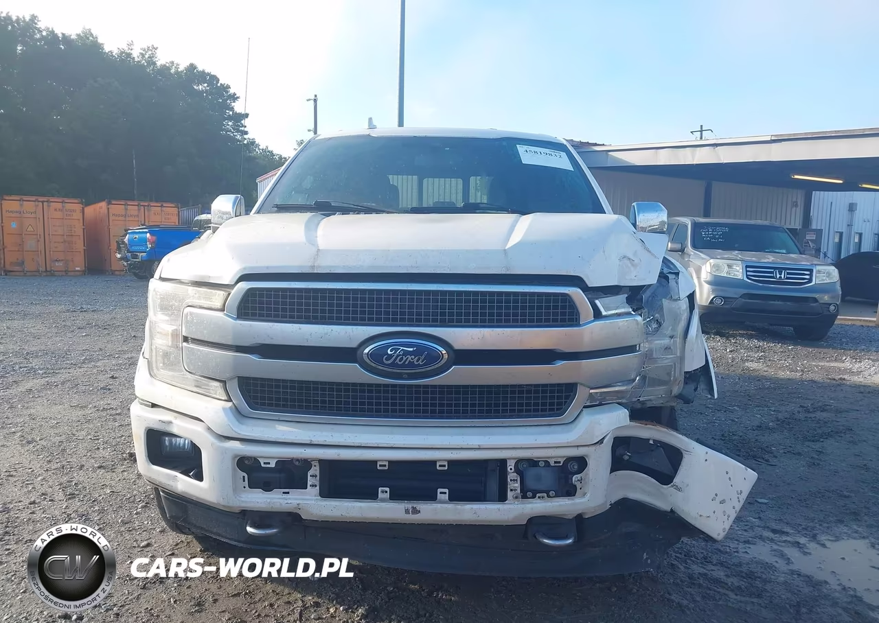 2019 Ford F-150 Platinum VIN:1FTEW1E41KFA84903 - 12