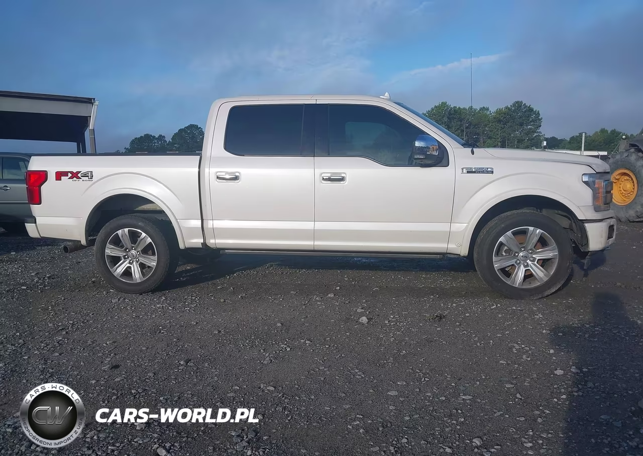 2019 Ford F-150 Platinum VIN:1FTEW1E41KFA84903 - 13