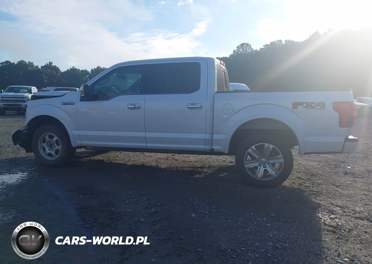 2019 Ford F-150 Platinum VIN:1FTEW1E41KFA84903 - 14