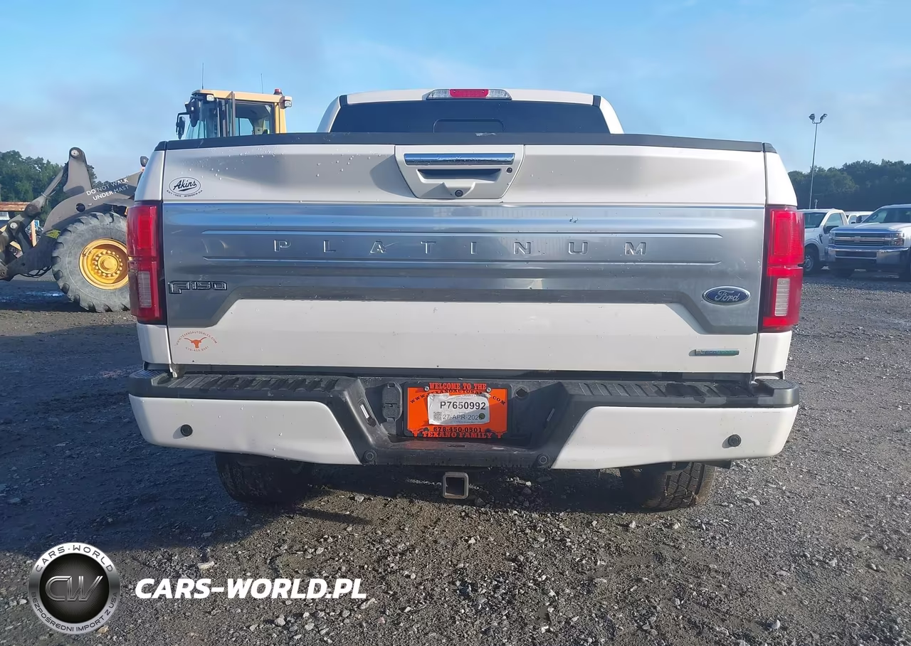 2019 Ford F-150 Platinum VIN:1FTEW1E41KFA84903 - 16