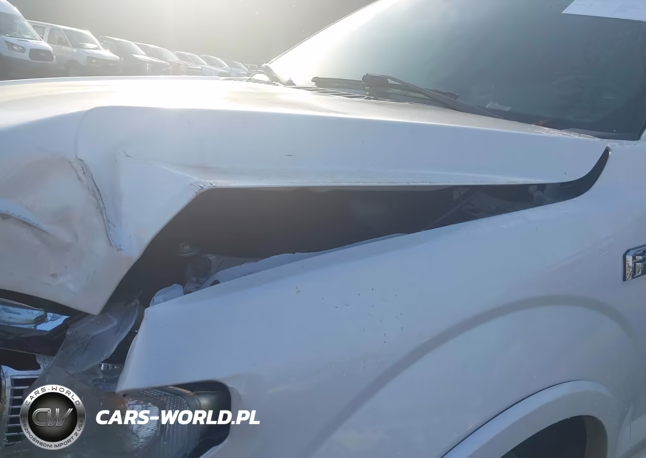 2019 Ford F-150 Platinum VIN:1FTEW1E41KFA84903 - 17