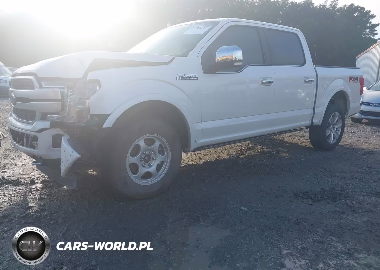 2019 Ford F-150 Platinum VIN:1FTEW1E41KFA84903 - 2