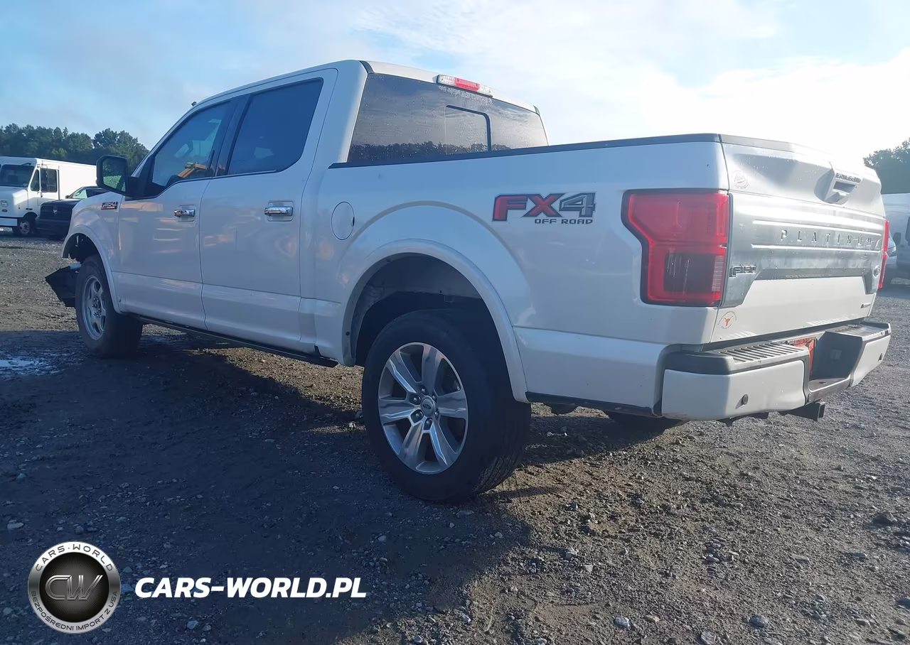 2019 Ford F-150 Platinum VIN:1FTEW1E41KFA84903 - 3