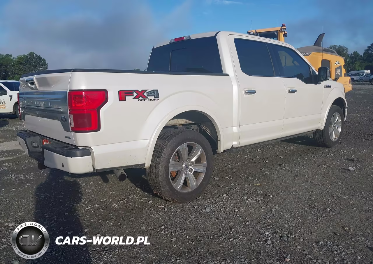 2019 Ford F-150 Platinum VIN:1FTEW1E41KFA84903 - 4